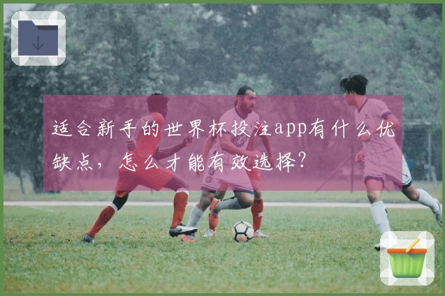适合新手的世界杯投注app有什么优缺点，怎么才能有效选择？