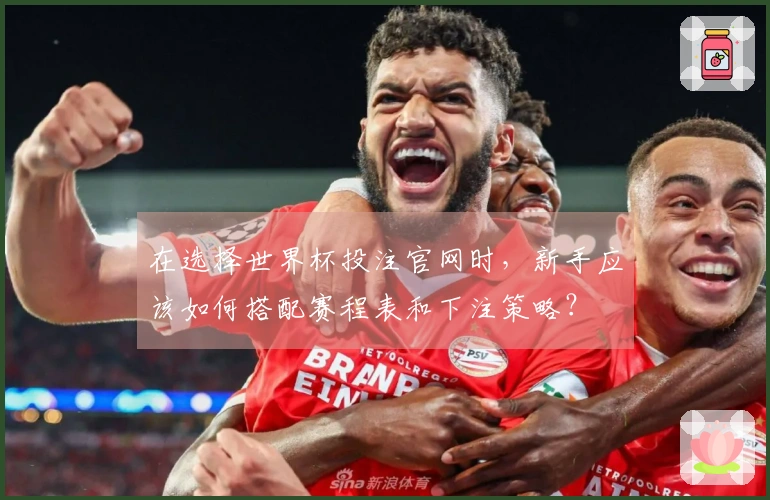在选择世界杯投注官网时，新手应该如何搭配赛程表和下注策略？