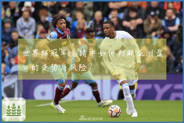 世界杯冠军竞猜中如何判断亚洲盘口的走势与风险？