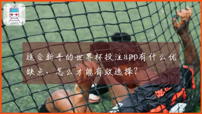 适合新手的世界杯投注app有什么优缺点，怎么才能有效选择？