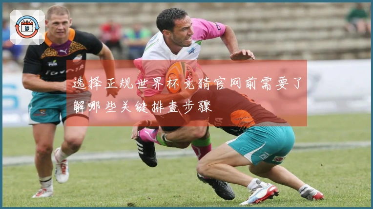 选择正规世界杯竞猜官网前需要了解哪些关键排查步骤