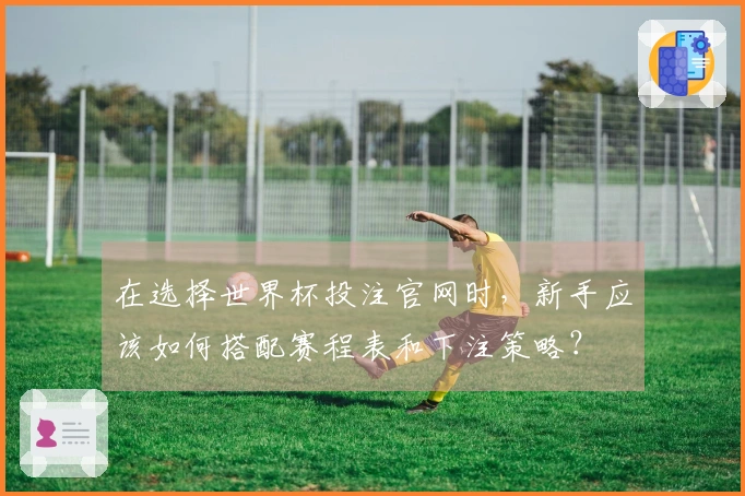 在选择世界杯投注官网时，新手应该如何搭配赛程表和下注策略？