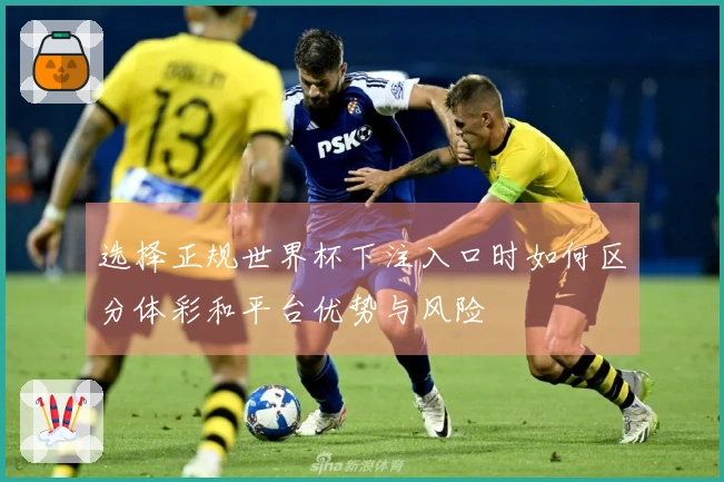 选择正规世界杯下注入口时如何区分体彩和平台优势与风险