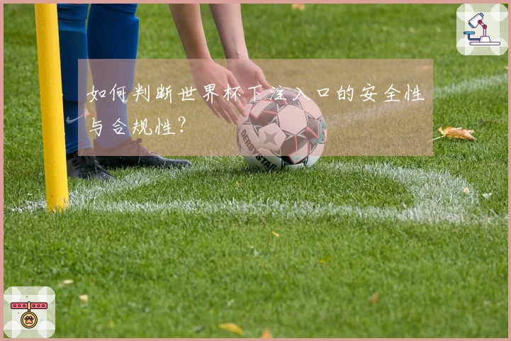 如何判断世界杯下注入口的安全性与合规性？
