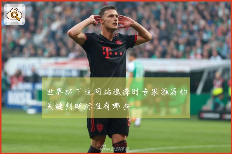 世界杯下注网站选择时专家推荐的关键判断标准有哪些